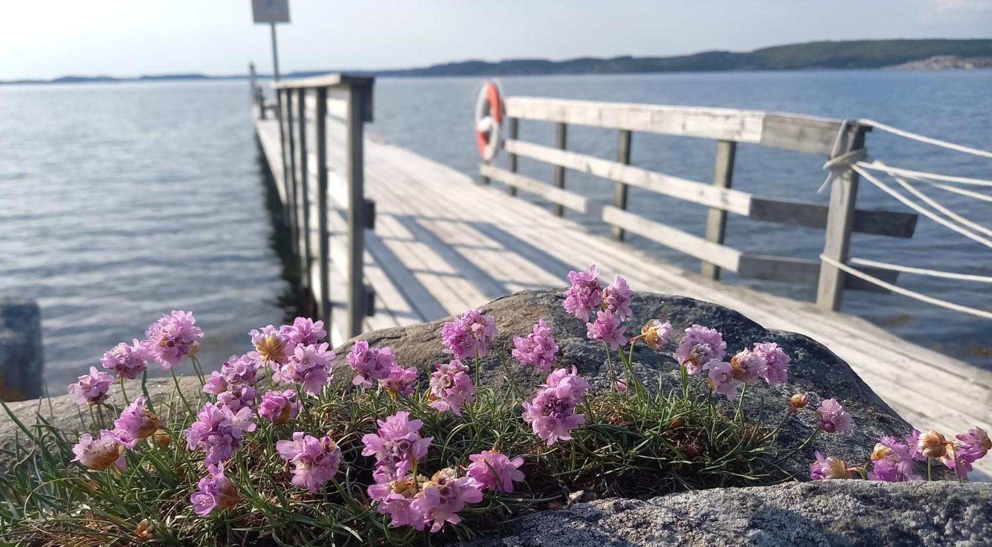 Tofte Naera Hav, Bad Och Marstrand Lycke